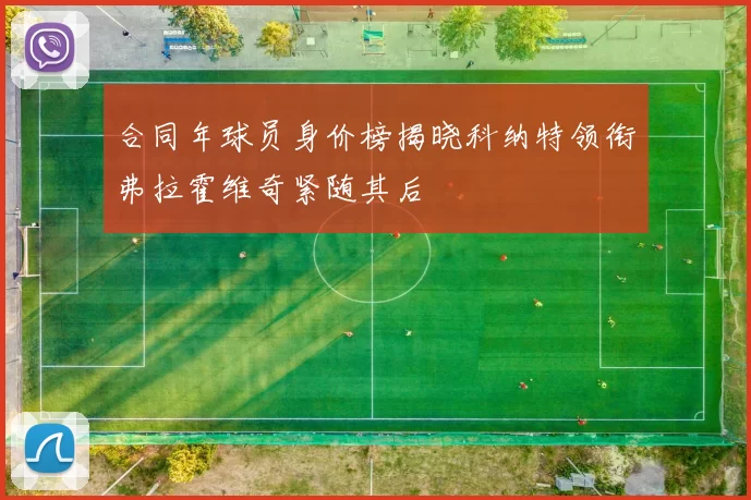 合同年球员身价榜揭晓科纳特领衔弗拉霍维奇紧随其后