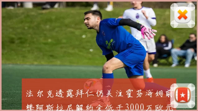 法尔克透露拜仁仍关注霍芬海姆前锋阿斯拉尼解约金低于3000万欧元